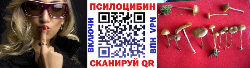 Псилоцибиновые грибы MAGIC MUSHROOMS Дыгулыбгей